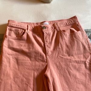 NWT Loft Denim, Size 31 / Size 12